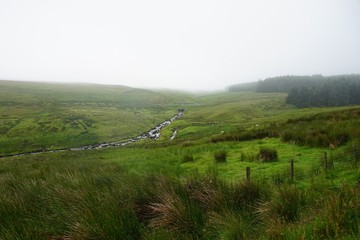 Flusslandschaft mit kleinen Wasserfällen im grünen Antrim / Nordirland