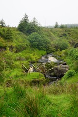 Wasserfall im grünen Antrim / Nordirland 