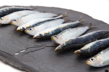 Sardines