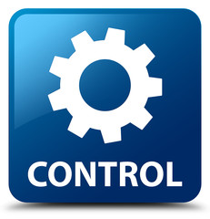 Control (settings icon) blue square button