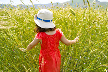 bambina in un campo di grano