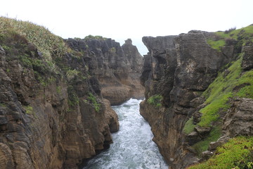 Obraz premium Paparoa national park