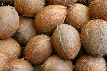 Small whole brown coconuts on retail market