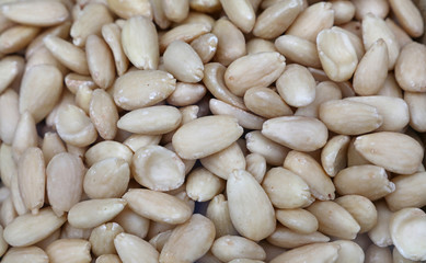 Peeled almond nuts close up