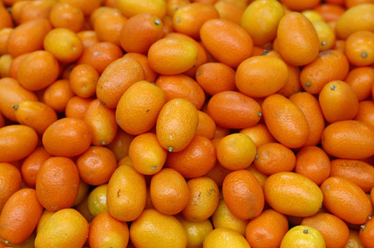 Fresh orange cumquat citrus fruits