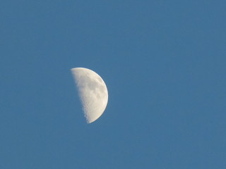 Half Moon