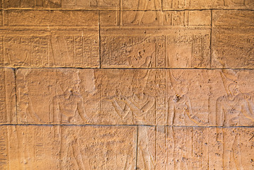 Fototapeta na wymiar Real Hieroglyphic carvings on the walls of an ancient egyptian templ