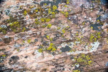 Desert Sandstone Background
