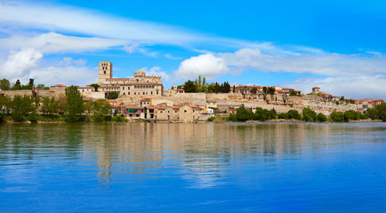 Zamora skyline by Duero river of Spain