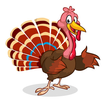 Cartoon Thanksgiving turkey presenting isolated on white. Vector