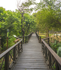 Fototapeta na wymiar Wood pedestrian walkway in the middle of a tropical park in Guayaquil city, Ecuador
