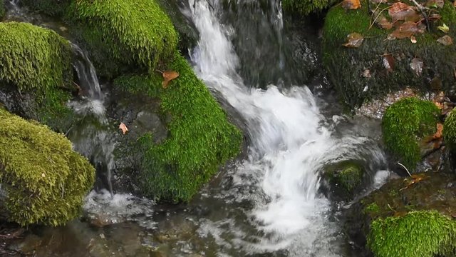 A river flows over rocks. Forest stream running over mossy rocks. Pure fresh water waterfall in forest.