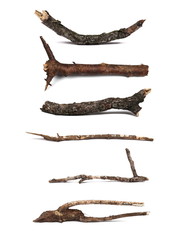 Obraz premium Twigs, set dry rotten branches with lichen isolated on white background