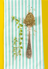 Antique teaspoon with dried and fresh oregano on folded towel, with yellow background.