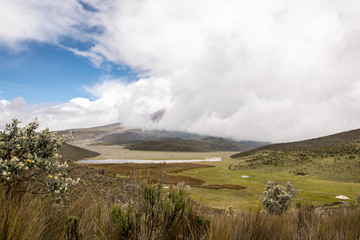 Volcano Cotopaxi National Park in Ecuador South America