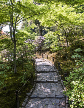 Pathway, Tenreyuji Temple Gardens, Arashiyama, Kyoto, Japan, East Asia 