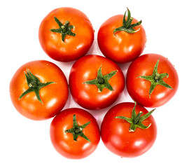 Red Tomatoes Isolated on a White Background