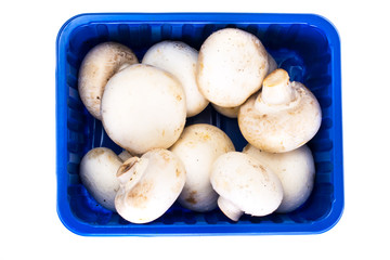 Fresh mushrooms in the packaging box
