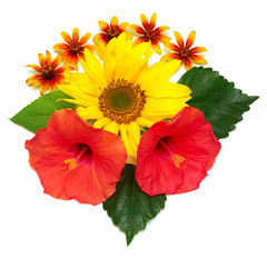 Bouquet of sunflower flowers, hibiscus and chamomile
