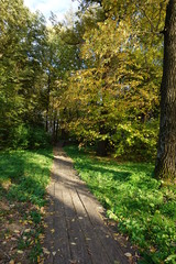 Path in autumn forest