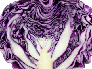 Texture and pattern of close-up fresh purple cabbage cut in half 