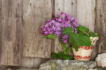 Lilac flowers in a wicker basket, standing on the rocks