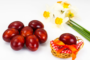 Painted Easter Eggs on White Background