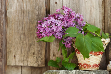 Fototapeta na wymiar Lilac flowers in a wicker basket, standing on the rocks