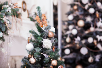 Christmas tree background. Winter scene. Horizontal