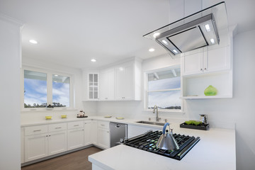 Luxury Kitchen with modern LED appliances with arched Glass oven hood.