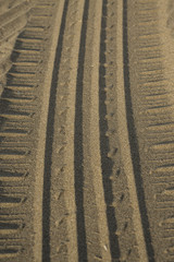 Tire tracks in the sand texture