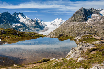 Fototapeta na wymiar Aletsch glacier behind a small lake near Eggishorn