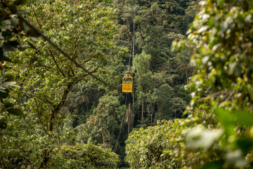 Mindo in the tropical rainforest of Ecuador