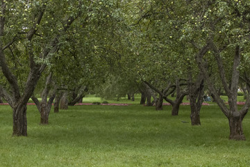 Городской пейзаж