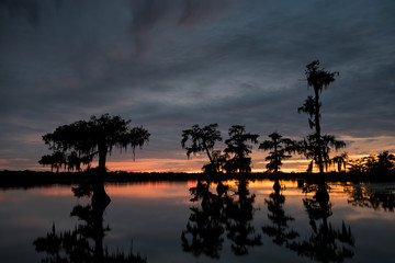 Susnet at Lake Martin November 2016