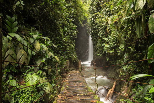 Fototapeta Holzsteg im Regenwald führt über fließenden Bach zu Wasserfall in satt grüner Vegetation. Mindo, Ecuador