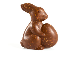 chocolate bunny isolated