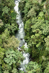 Naklejka premium Tropical rainforest from above in Mindo, Ecuador