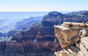 Fototapeta premium Grand Canyon Edge