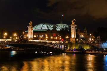 Fototapeta na wymiar Bridge Pont de Alexandre III in Paris at night