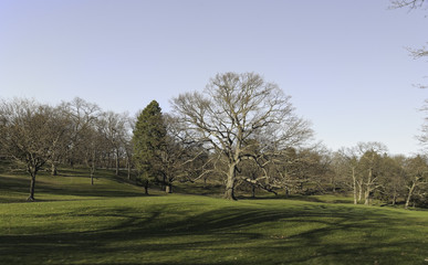Roger Williams Park field