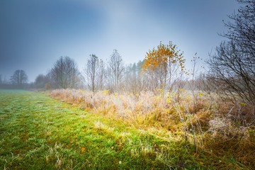 Frosty morning landscape