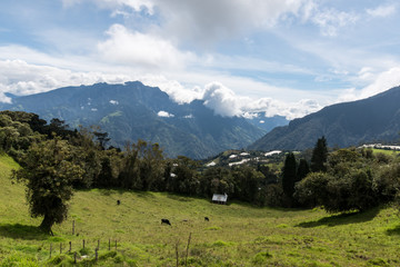 Fototapeta na wymiar Casa del Arbol, swing and treehouse vis-a-vis volcano Tungurahua