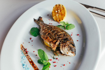 Fish