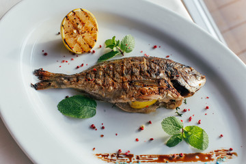 Fish