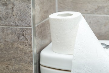 Roll of toilet paper stands on the reservoir in restroom