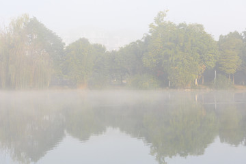 Woods and lakes in the fog.