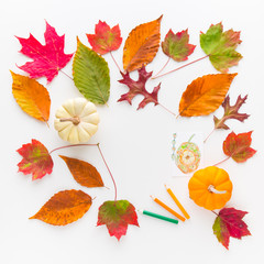 Autumn frame composition of colorful leaves and pumpkins.