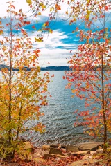 Crédence de cuisine en verre imprimé Automne View of lake through beautiful autumn maple trees.