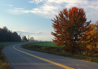 Autumn Drive